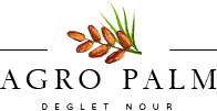 AgropPalm Deglet Nour