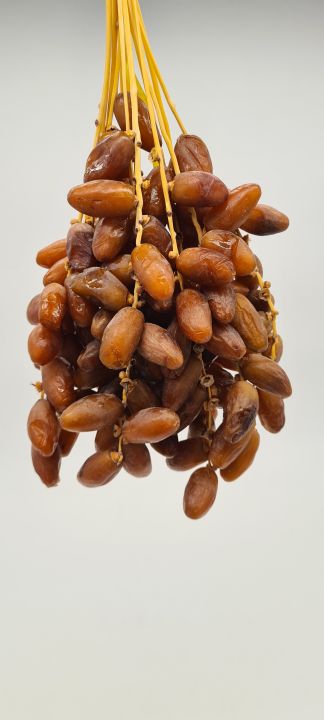 Date Tunisia