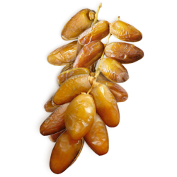 dates tunisia