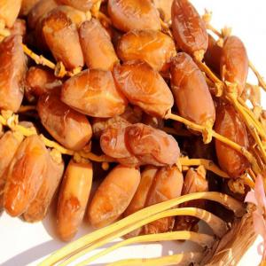 dates tunisia